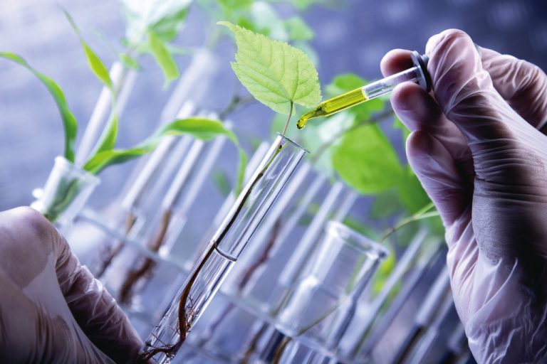 Bio-Based Chemicals Could Soon Replace Petroleum-Derived Counterparts