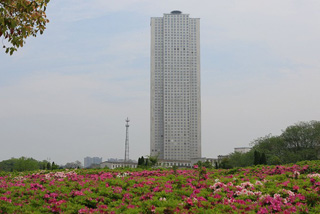 Chinese Skyscraper Built in 19 Days