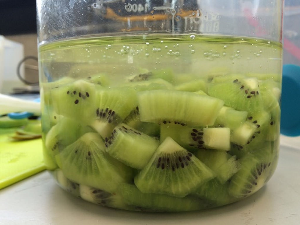 An Edible Coating that Extends the Shelf Life of Fruits and Vegetables