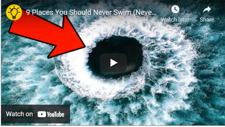 article1 swimming 4 28 21